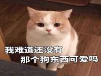 上海月测包装科技有限公司