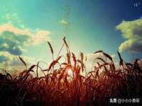 上海月测包装科技有限公司