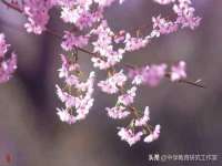 上海月测包装科技有限公司