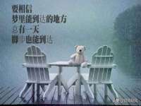 上海月测包装科技有限公司