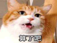 上海月测包装科技有限公司