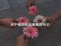 上海月测包装科技有限公司