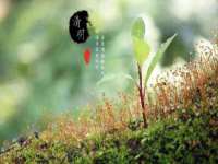 上海月测包装科技有限公司