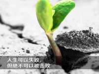 上海月测包装科技有限公司