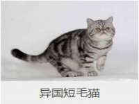 上海月测包装科技有限公司