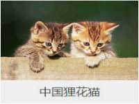 上海月测包装科技有限公司