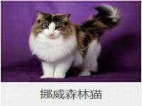 上海月测包装科技有限公司