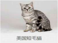 上海月测包装科技有限公司
