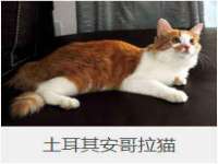 上海月测包装科技有限公司