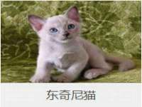 上海月测包装科技有限公司