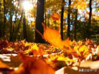上海月测包装科技有限公司