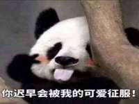 上海月测包装科技有限公司