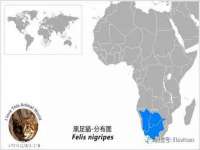 上海月测包装科技有限公司