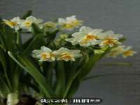 上海月测包装科技有限公司