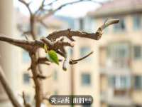 上海月测包装科技有限公司