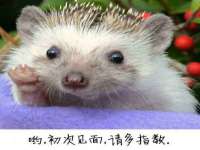 上海月测包装科技有限公司