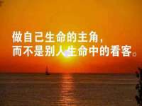 上海月测包装科技有限公司