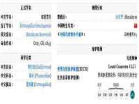 上海月测包装科技有限公司