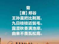 上海月测包装科技有限公司