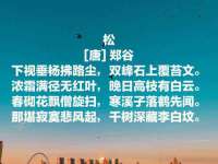 上海月测包装科技有限公司