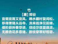 上海月测包装科技有限公司
