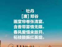 上海月测包装科技有限公司