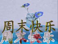 上海月测包装科技有限公司