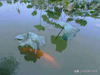 上海月测包装科技有限公司