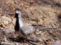 上海月测包装科技有限公司