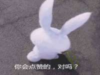上海月测包装科技有限公司