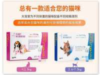 上海月测包装科技有限公司