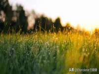 上海月测包装科技有限公司