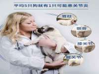 上海月测包装科技有限公司