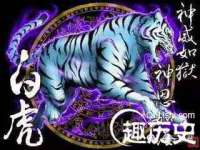 上海月测包装科技有限公司