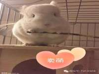 上海月测包装科技有限公司