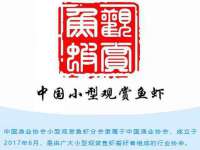 上海月测包装科技有限公司