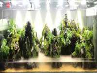 上海月测包装科技有限公司
