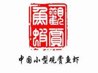 上海月测包装科技有限公司