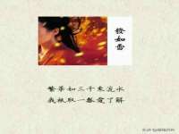 上海月测包装科技有限公司
