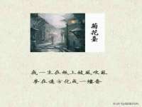 上海月测包装科技有限公司