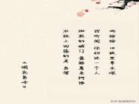 上海月测包装科技有限公司