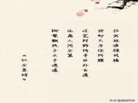 上海月测包装科技有限公司