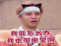 上海月测包装科技有限公司