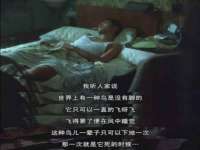 上海月测包装科技有限公司
