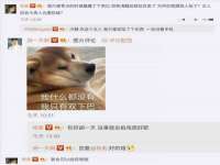 上海月测包装科技有限公司