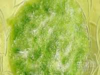上海月测包装科技有限公司