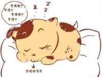 上海月测包装科技有限公司