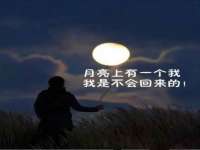 上海月测包装科技有限公司