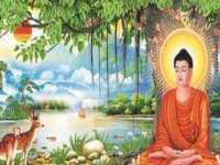 上海月测包装科技有限公司